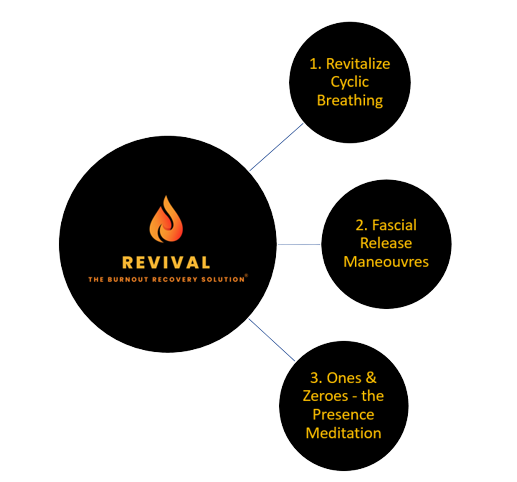 How REVIVAL Works